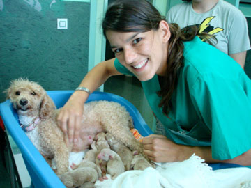 20080805012154-fani-veterinaria-con-camada.jpg