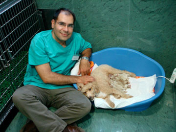 20080808211619-fran-veterinario-con-camada.jpg
