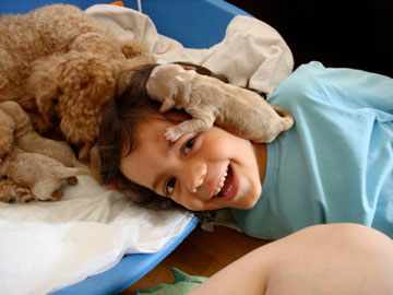 20080808212141-cachorro-con-gael.jpg