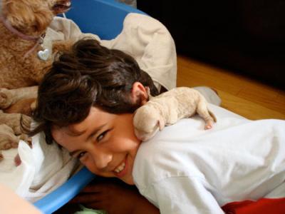 20080808212303-cachorro-con-kevin.jpg