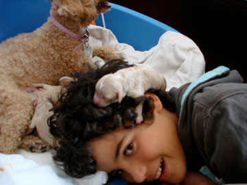 20080808212355-cahorro-con-bernal.jpg