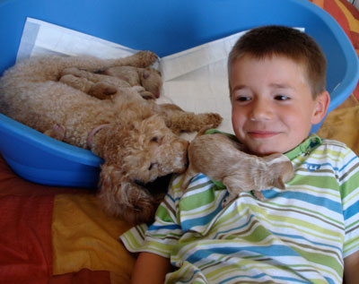 20080818015633-peque-de-familia-padre-cachorros.jpg
