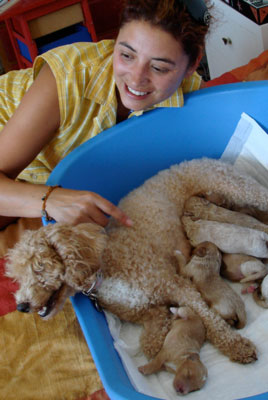 20080818015856-genma-duena-padre-cachorros.jpg